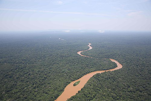 Congo Rainforest